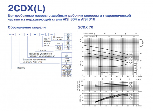 Центробежный одноступенчатый насос Ebara 2CDX/I 70/206 220/380-460VAEGG SCA110grad (Артикул 1619209816I)  купить (фото, вид 4)